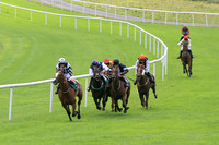 01st Clondaw Hollow and B Hayes ( 1 , black  and white diamonds ) Trainer - J C McConnell , Owner - Derek Kierans