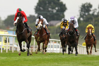 01st Snaffles and S M Crosse ( 2 , Red ) Trainer - J P OBrien , Owner - D L OByrne