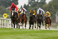 01st Snaffles and S M Crosse ( 2 , Red ) Trainer - J P OBrien , Owner - D L OByrne