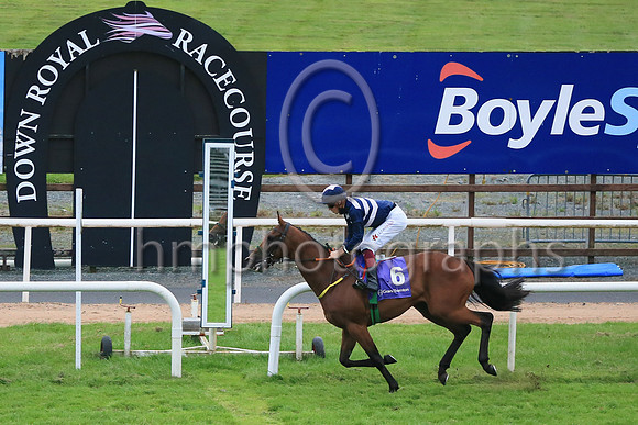 01st Ben Siegel and D McMonagle3 ( 6 , Dark blue  and pink chevrons ) Trainer - N Meade , Owner - Eoin Banville  Peter Robin Parkhill