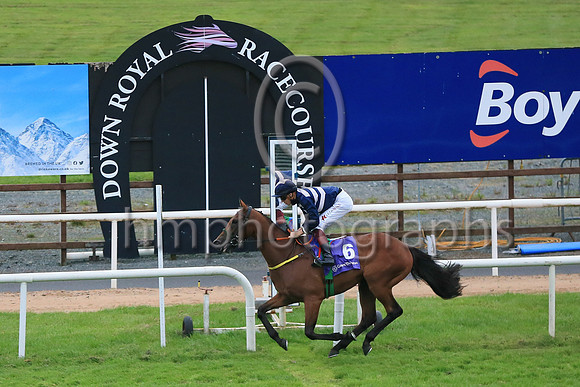 01st Ben Siegel and D McMonagle3 ( 6 , Dark blue  and pink chevrons ) Trainer - N Meade , Owner - Eoin Banville  Peter Robin Parkhill