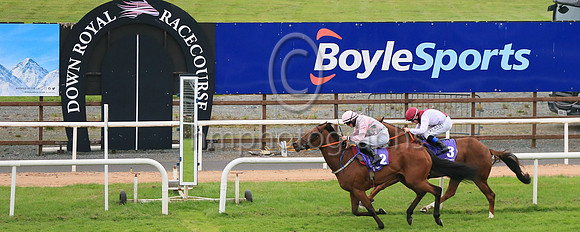 02nd Dammit and D F O'Regan ( 3 , Moron  and white diabolo ) Trainer - L Comer , Owner - Luke Comer
