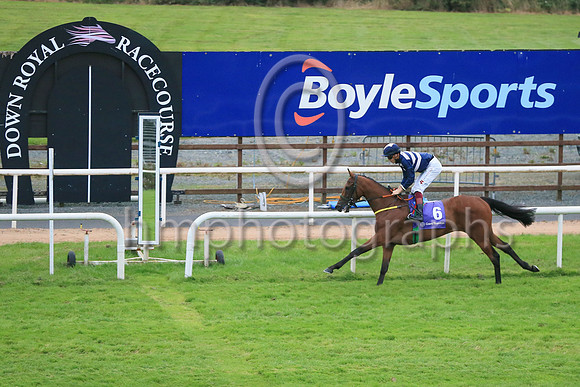 01st Ben Siegel and D McMonagle3 ( 6 , Dark blue and pink chevrons ) Trainer - N Meade , Owner - Eoin Banville Peter Robin Parkhill