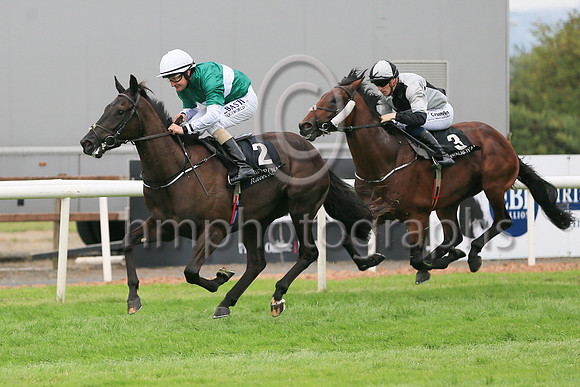 01st Panic Alarm (2 , dark green, white hoop ) Jockey: S Foley , Trainer: Mrs John Harrington