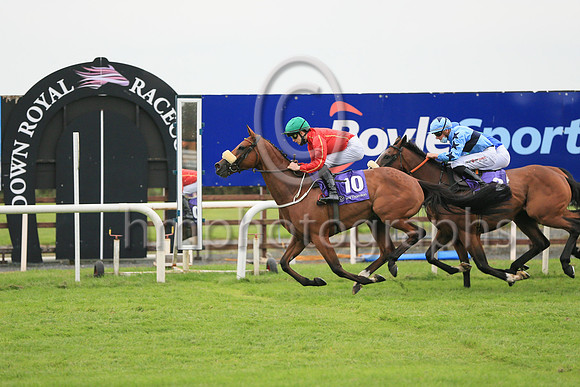 01st Anyonecanhaveitall  and M P Sheehy5 ( 10 , Red, yellow seams ) Trainer - M Halford , Owner - Garrett J Freyne