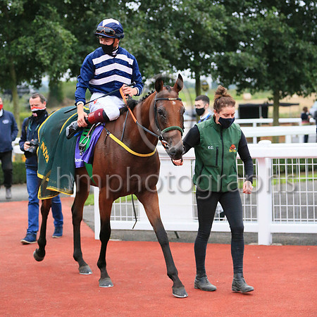 01st Ben Siegel and D McMonagle3 ( 6 , Dark blue  and pink chevrons ) Trainer - N Meade , Owner - Eoin Banville  Peter Robin Parkhill