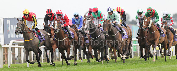 01st Sheishybrid (4 , red and white diamonds ) Jockey: C T Keane , Trainer: Noel Meade