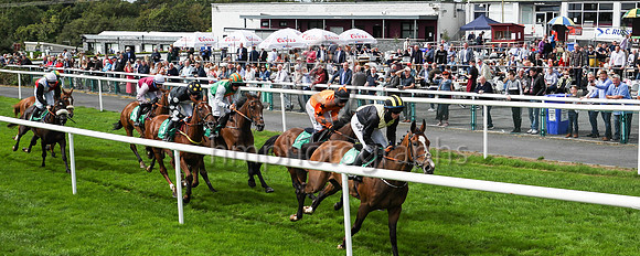 01st Gateau De Miel and D J OKeeffe ( 2 , bleak, yellow cross sashes ) Trainer - H De Bromhead , Owner - John Patrick Byrne