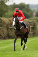 01st Snaffles and S M Crosse ( 2 , Red ) Trainer - J P OBrien , Owner - D L OByrne
