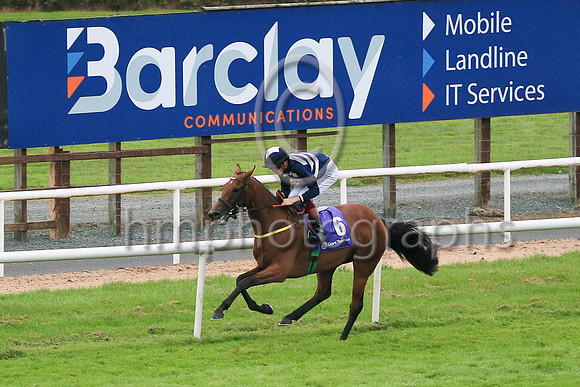 01st Ben Siegel and D McMonagle3 ( 6 , Dark blue  and pink chevrons ) Trainer - N Meade , Owner - Eoin Banville  Peter Robin Parkhill