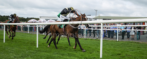 01st Gateau De Miel and D J OKeeffe ( 2 , bleak, yellow cross sashes ) Trainer - H De Bromhead , Owner - John Patrick Byrne