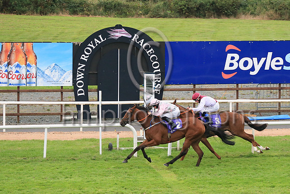 01st Silent Performance and James J Doyle ( 2 , Pink  and grey diamonds ) Trainer - D Hogan , Owner - T Egan  M Caplice