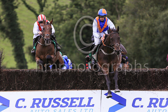 01st Drummullagh Rocky  and C D Maxwell ( 9 , royal blue, orange chevron ) Trainer - S McParlan , Owner - Martin Ward
