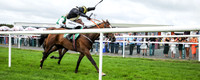 01st Gateau De Miel and D J OKeeffe ( 2 , bleak, yellow cross sashes ) Trainer - H De Bromhead , Owner - John Patrick Byrne