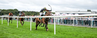 01st Gateau De Miel and D J OKeeffe ( 2 , bleak, yellow cross sashes ) Trainer - H De Bromhead , Owner - John Patrick Byrne