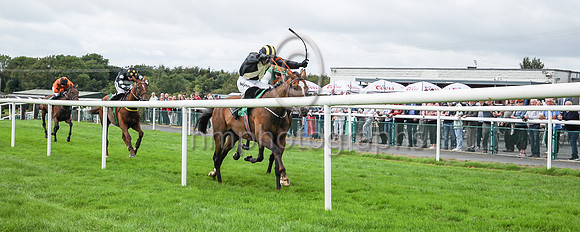 01st Gateau De Miel and D J OKeeffe ( 2 , bleak, yellow cross sashes ) Trainer - H De Bromhead , Owner - John Patrick Byrne