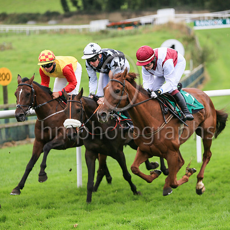 01st Quiet Escape and Miss J Townend5 ( 7 , maroon white cross sashes ) Trainer - M A Molloy , Owner - John P Wade