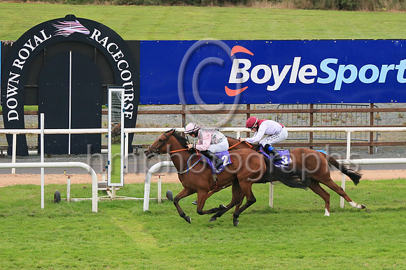 01st Silent Performance and James J Doyle ( 2 , Pink  and grey diamonds ) Trainer - D Hogan , Owner - T Egan  M Caplice