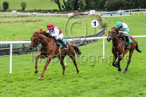 01st Quiet Escape and Miss J Townend5 ( 7 , maroon white cross sashes ) Trainer - M A Molloy , Owner - John P Wade