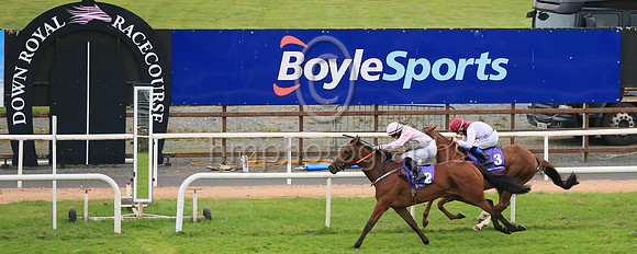 01st Silent Performance and James J Doyle ( 2 , Pink  and grey diamonds ) Trainer - D Hogan , Owner - T Egan  M Caplice