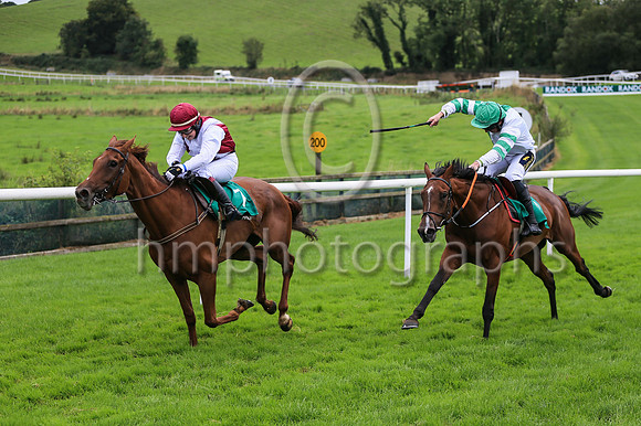 01st Quiet Escape and Miss J Townend5 ( 7 , maroon white cross sashes ) Trainer - M A Molloy , Owner - John P Wade
