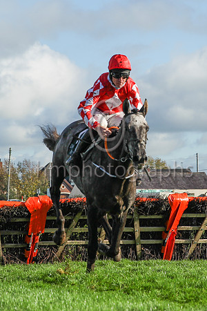 01st Fil Dor and D N Russell ( 1 , red, white diamond ) Trainer - G Elliott , Owner - Caldwell Construction Ltd