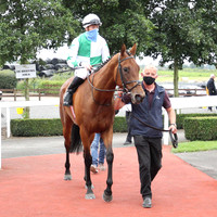 01st Red Wasp and W J Lee ( 5 , Green  and white diabolo ) Trainer - W McCreery , Owner - John C Davies
