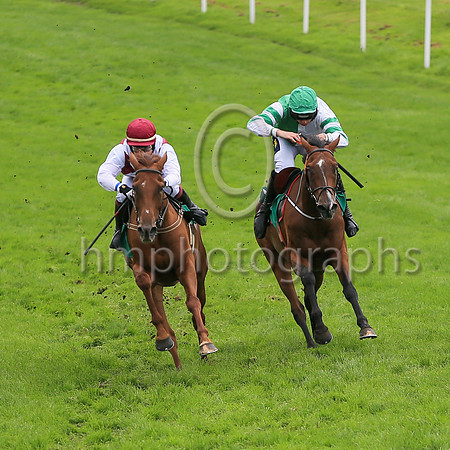 01st Quiet Escape and Miss J Townend5 ( 7 , maroon white cross sashes ) Trainer - M A Molloy , Owner - John P Wade