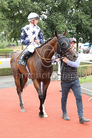 01st Sceolan (8 , white, bue stars ) Jockey: W J Lee , Trainer: W McCreery