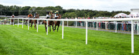 01st Gateau De Miel and D J OKeeffe ( 2 , bleak, yellow cross sashes ) Trainer - H De Bromhead , Owner - John Patrick Byrne