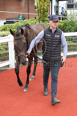 01st Ocean Jewel (4 , black ) Jockey: W J Lee , Trainer: W McCreery