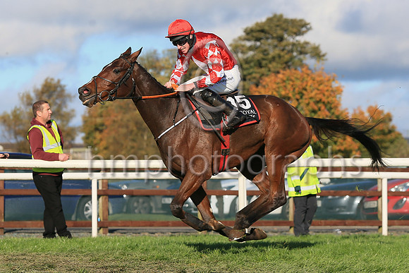 01st Mighty Potter and J W Kennedy ( 15 , red, white diamond ) Trainer - G Elliott , Owner - Caldwell Construction Ltd
