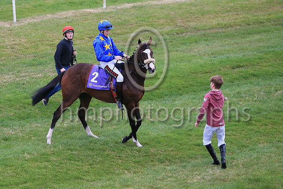 El C Wells misbehaving before The Grant Thornton Handicap (Race 7) at Down Royal on 2nd September 2022