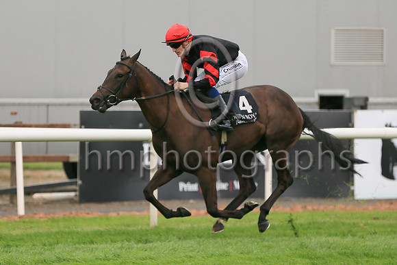 01st Ocean Jewel (4 , black ) Jockey: W J Lee , Trainer: W McCreery