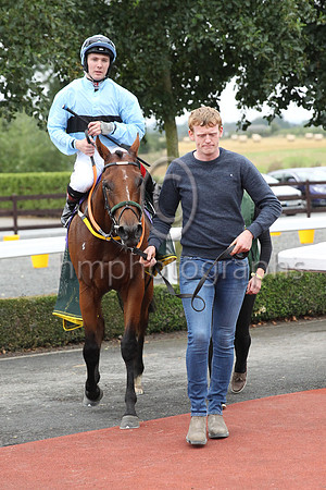 01st Pub Talk (6 , light blue, dark blue hoop ) Jockey: C T Keane , Trainer: Noel Meade