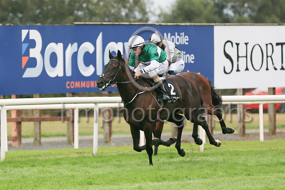 01st Panic Alarm (2 , dark green, white hoop ) Jockey: S Foley , Trainer: Mrs John Harrington