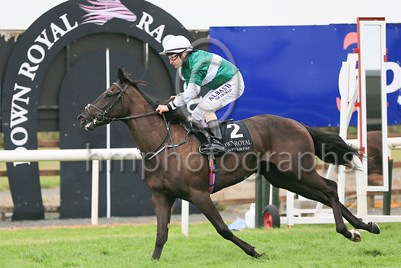01st Panic Alarm (2 , dark green, white hoop ) Jockey: S Foley , Trainer: Mrs John Harrington