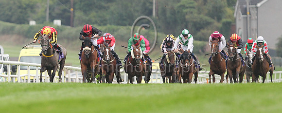 01st Sheishybrid (4 , red and white diamonds ) Jockey: C T Keane , Trainer: Noel Meade