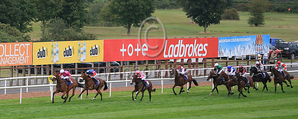 01st Sign From Above (4 , pink, blue stars ) Jockey: Sam Ewing(3) , Trainer: Peter Fahey