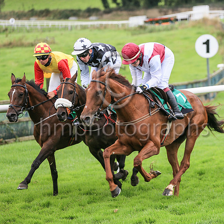 01st Quiet Escape and Miss J Townend5 ( 7 , maroon white cross sashes ) Trainer - M A Molloy , Owner - John P Wade