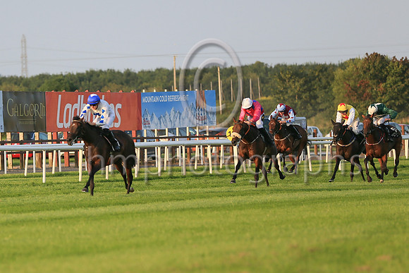 01st Hi Stranger  and ( 1 , white, bue cross ) Trainer - J E Kiely , Owner - Brian Gleeson