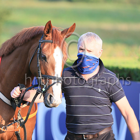 08th Darraughs Diamond and ( 3 , yellow ans blue stripes ) Trainer - D M Christie , Owner - Declan Donohoe