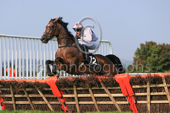 01st Mighty Meggsie and ( 12 , grey, tripple maroon diamonds ) Trainer - Mrs J Harrington , Owner - Mrs E Queally