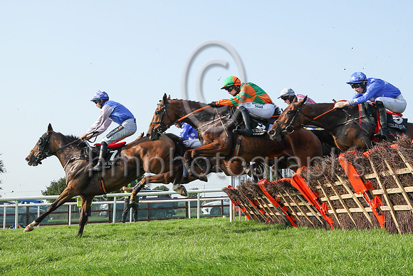 07th Misty Millie  and ( 7 , blue, mauve star ) Trainer - G Donnelly , Owner - M F O Neill