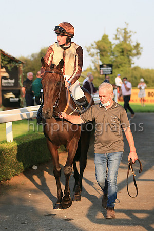 07th Bessy Bradley and ( 2 , beigr, brown seams ) Trainer - T Gibney , Owner - Leo Kerley