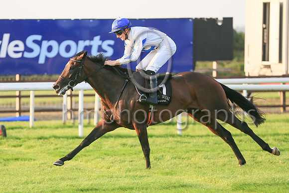 01st Hi Stranger  and ( 1 , white, bue cross ) Trainer - J E Kiely , Owner - Brian Gleeson
