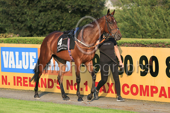 05th Fanoir and ( 4 , maroon, light blue star ) Trainer - C O Dwyer , Owner - Hugo Kane