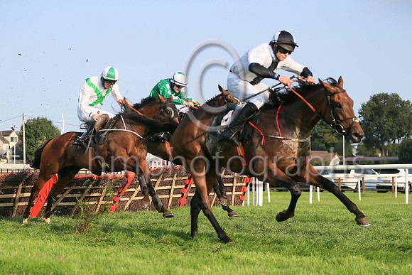 01st Rich Belief  and ( 2 , white, green cross sashes ) Trainer - K Thornton , Owner - I J Keeling