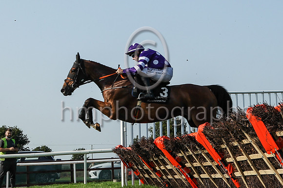 04th Feel Des Mottes  and ( 3 , orange and white spots ) Trainer - Miss E Doyle , Owner - Wogan swood Syndicate