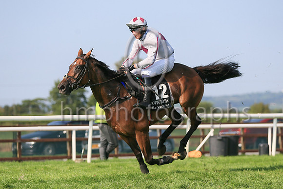 01st Mighty Meggsie and ( 12 , grey, tripple maroon diamonds ) Trainer - Mrs J Harrington , Owner - Mrs E Queally